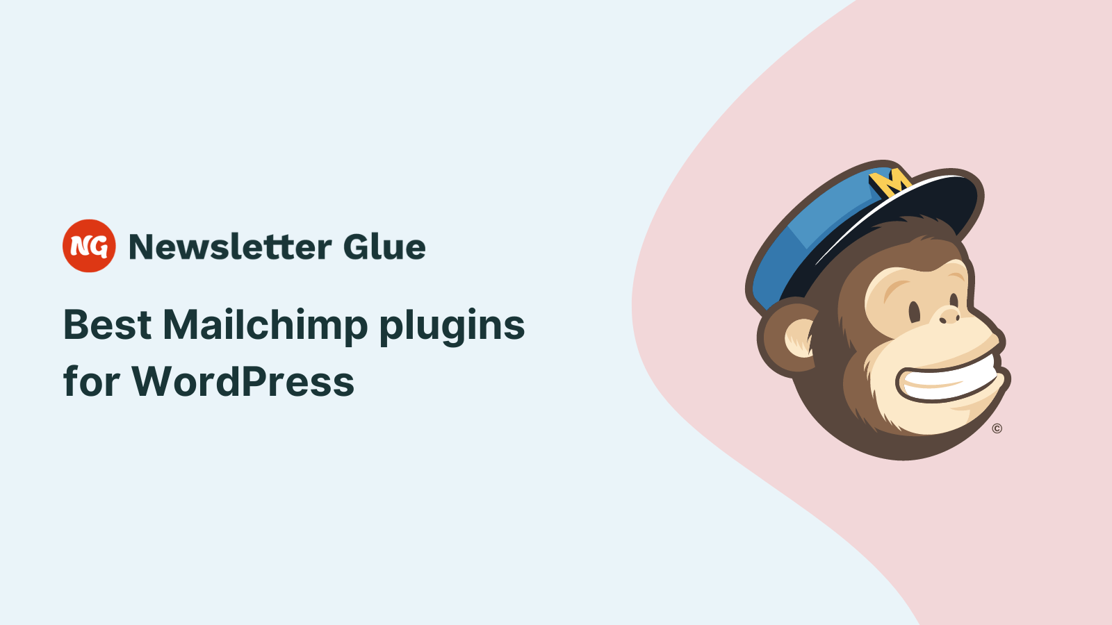 Best Mailchimp plugins for WordPress