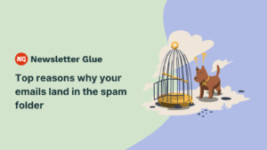Top reasons why your emails land in the spam folder