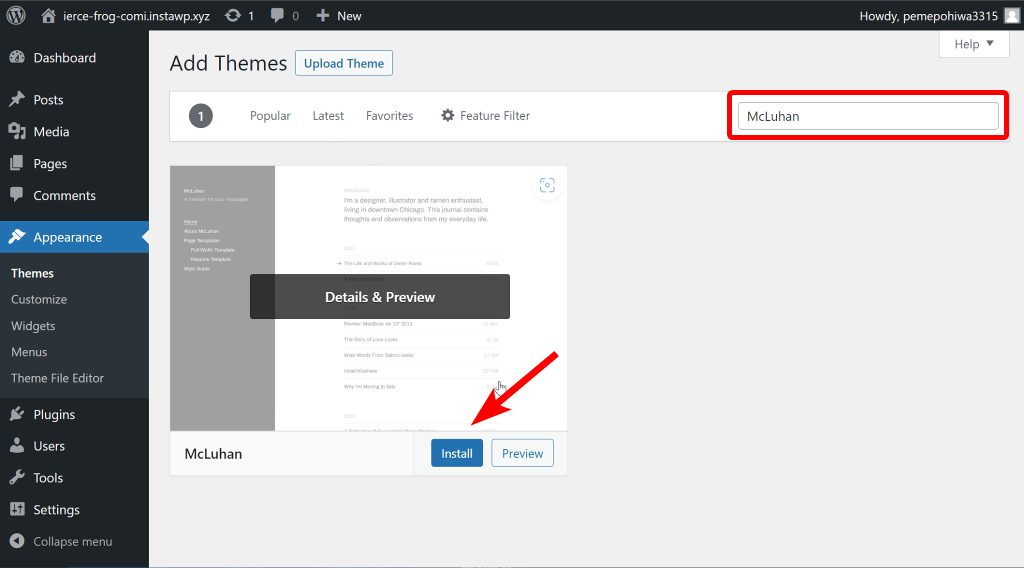 Install the WordPress theme