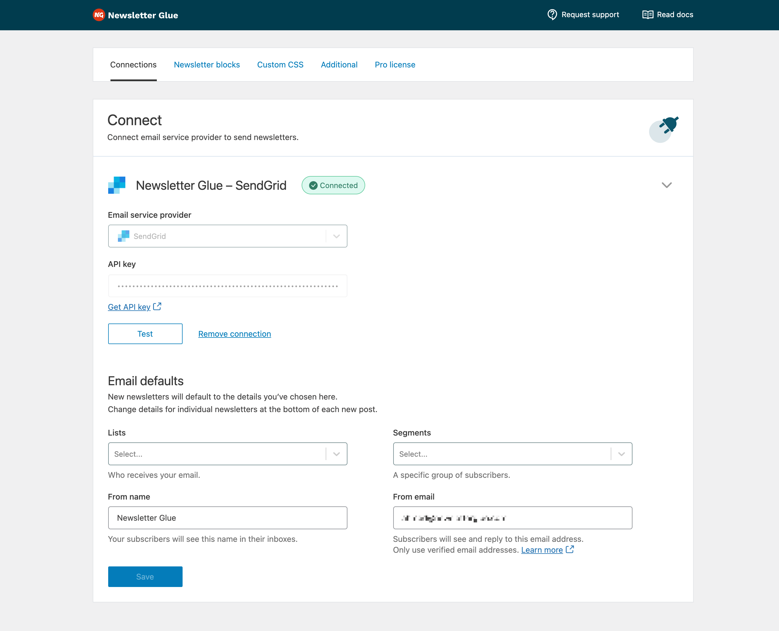 Newsletter Glue v.2. Connections tab