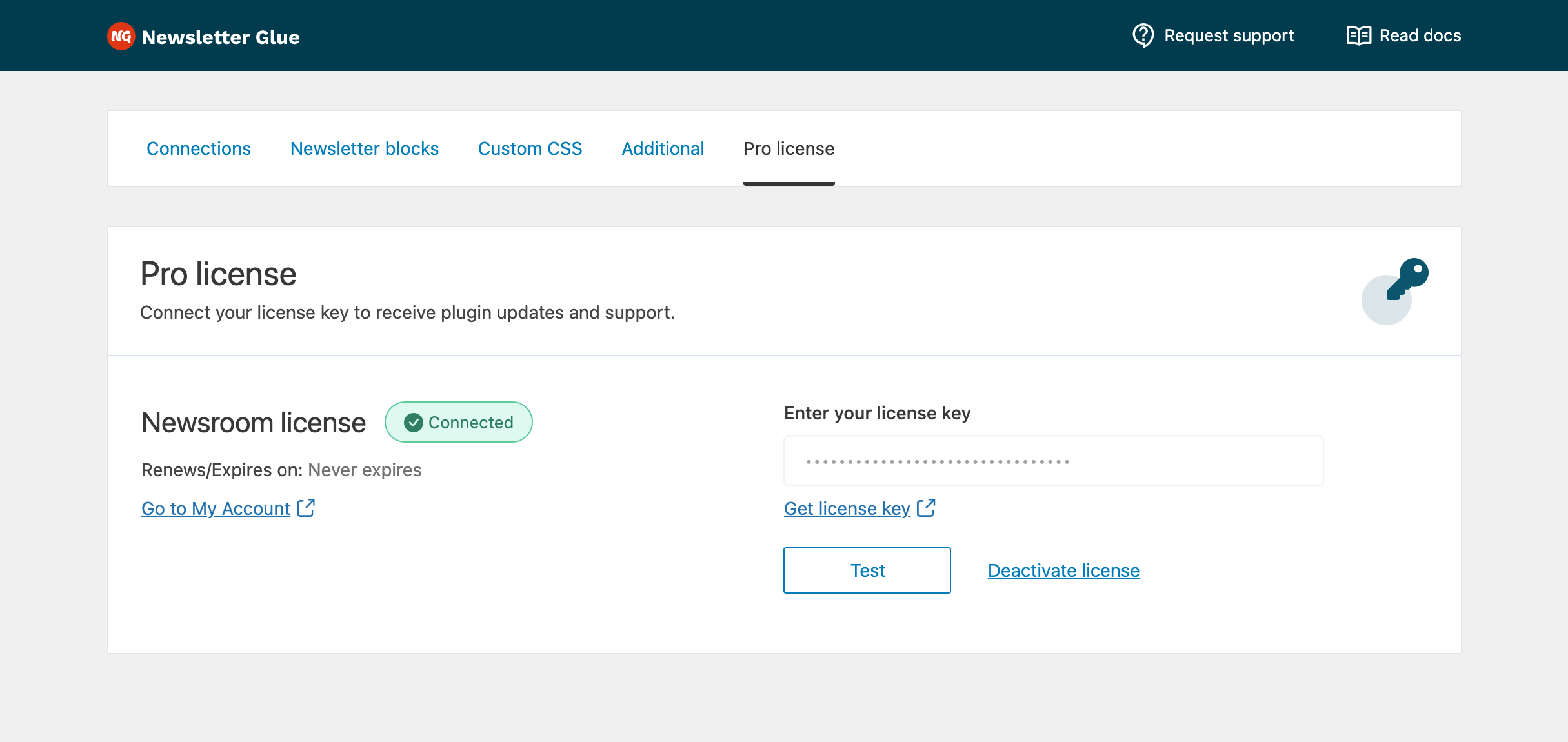 Newsletter Glue v.2 Pro license tab
