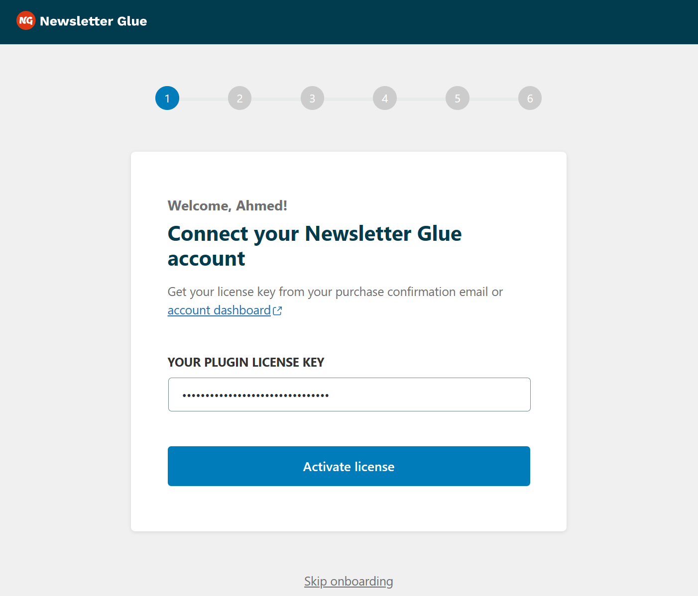 Connect your Newsletter Glue license key