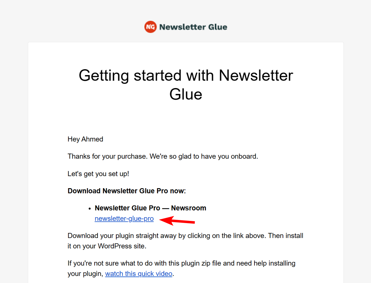 New purchase email from Newsletter Glue